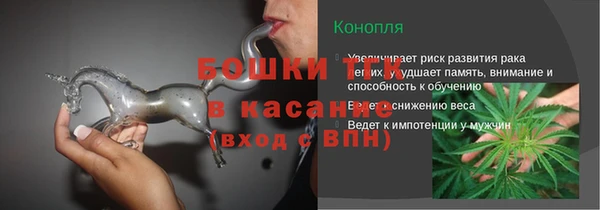 ПСИЛОЦИБИНОВЫЕ ГРИБЫ Гусев
