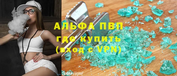 ПСИЛОЦИБИНОВЫЕ ГРИБЫ Гусев
