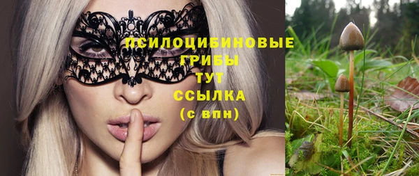 дживик Горнозаводск
