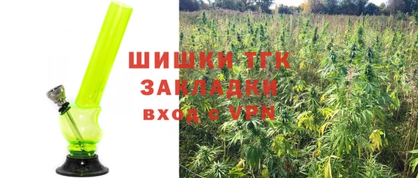 ПСИЛОЦИБИНОВЫЕ ГРИБЫ Гусев
