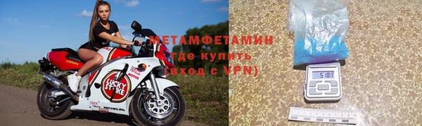 ПСИЛОЦИБИНОВЫЕ ГРИБЫ Гусев