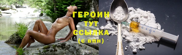ПСИЛОЦИБИНОВЫЕ ГРИБЫ Гусев